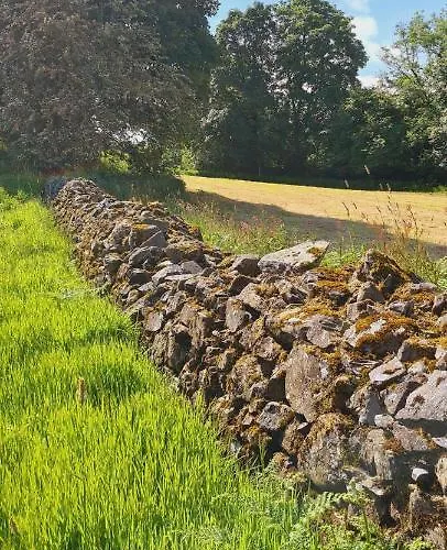 Apartment Old Annex Clones