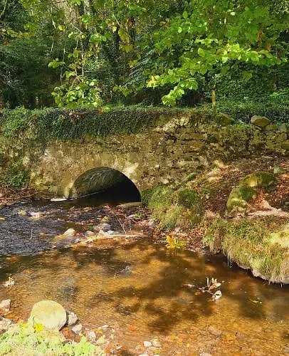 Old Annex Apartment *