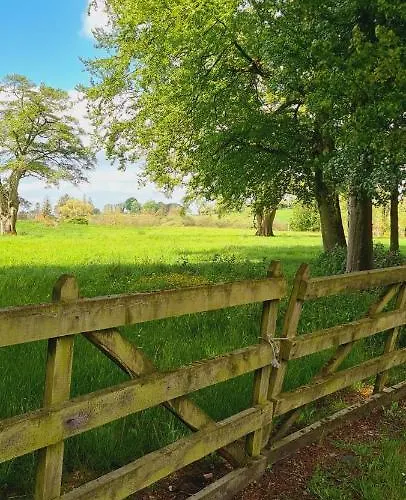 Old Annex Apartment *